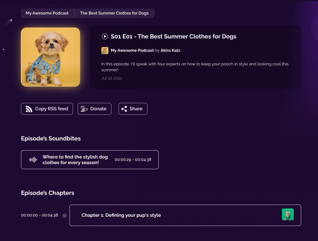 how podcast chapters display on RSS.com public podcast websites